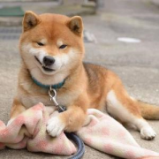 相信你也害怕遇到這幾種人吧？