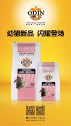 奧丁精品幼貓糧閃耀登場?。?！