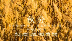 秋分丨晝夜分畫，漸入秋華