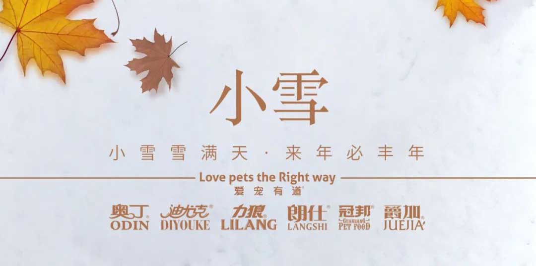 小雪丨天地初寒，歲月安暖